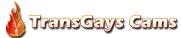 transgays-cams.com